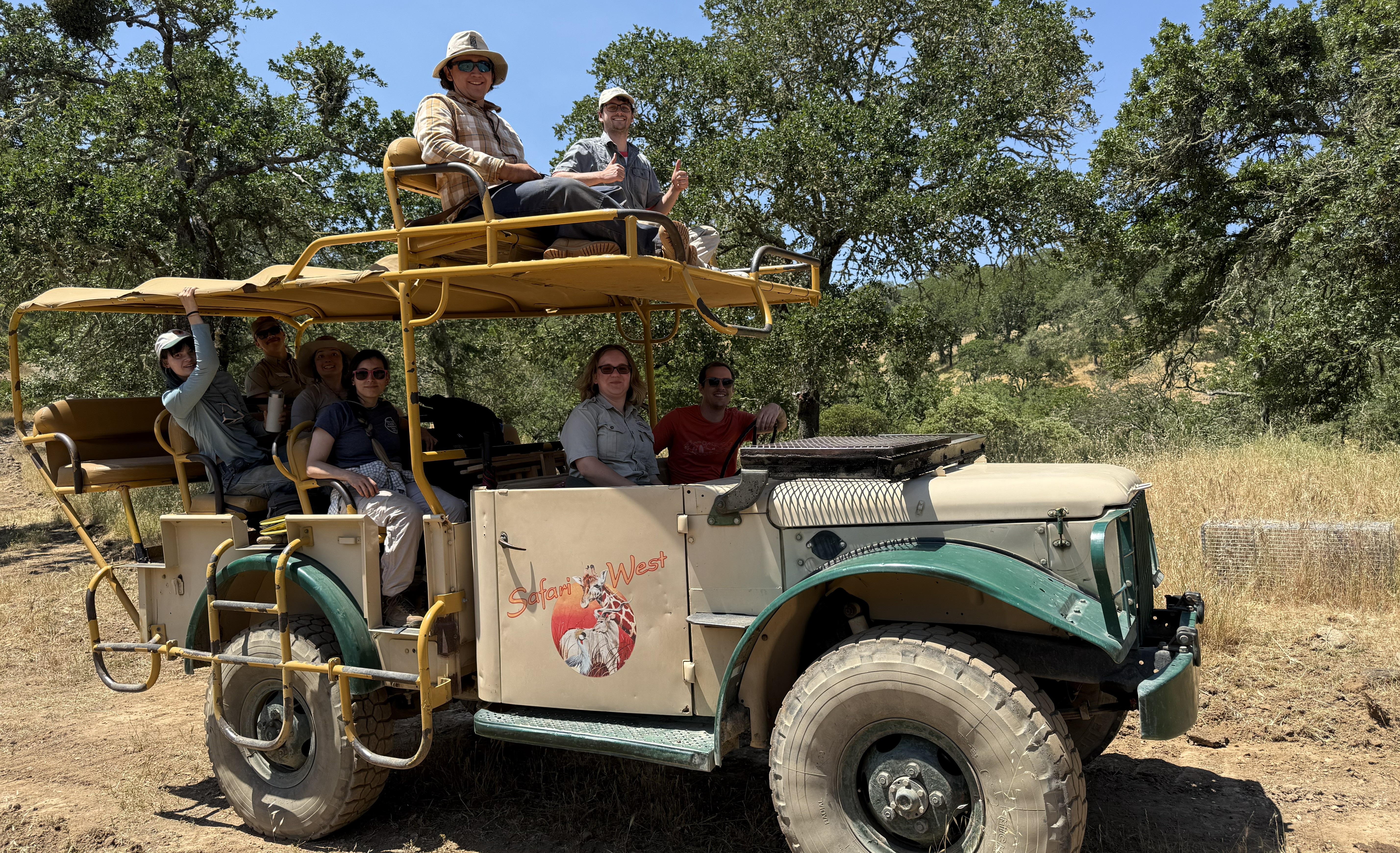 safari west WC54