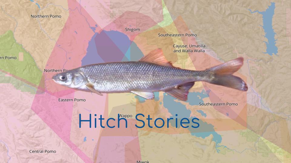 Hitch Stories Logo