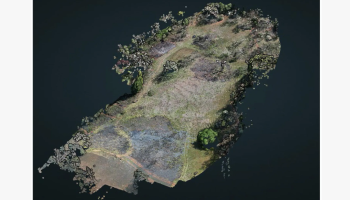 burn overview