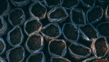 Lots of bags of soil, ready to be examined in the lab.