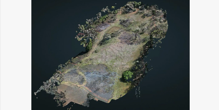 burn overview