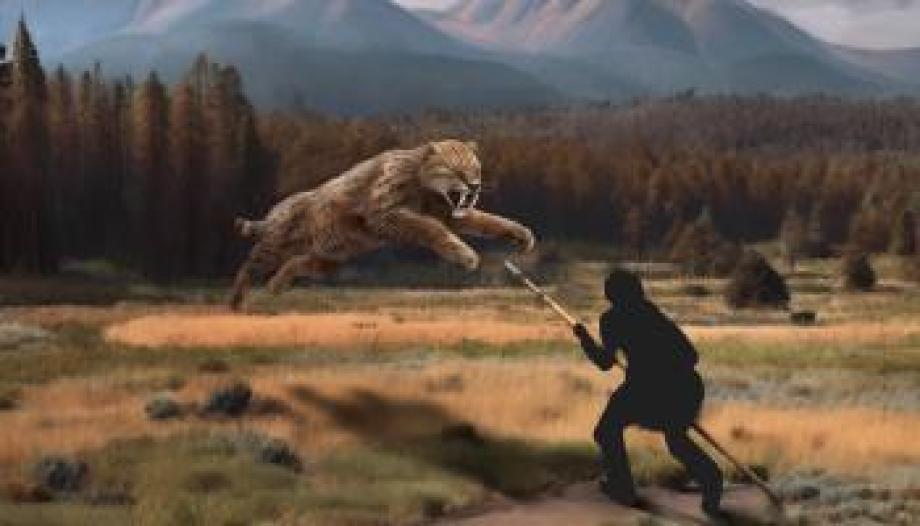 braced pike saber tooth